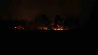 Adana Karaisalı'da orman yangınına havadan ve karadan yoğun müdahale