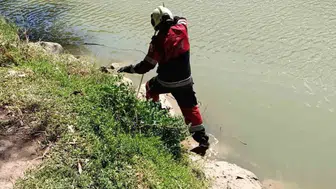 Reyhanlı Yenişehir Gölü'nde yılan paniği: Ekipler müdahale etti