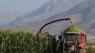 Erzincan Belediyesi tarımsal üretimde kendi hasadını topluyor