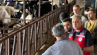 Hatay hayvancılığında yeni dönem: Hastalıktan ari işletmeler için kritik bilgilendirme