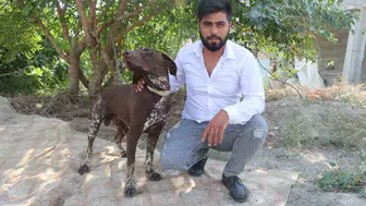 Sarıçam'da köpeğe vahşi saldırı güvenlik kamerasına yansıdı