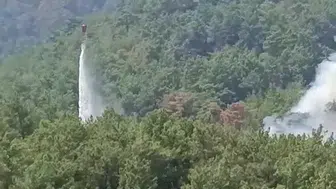 Kozan'da kontrol altına alınan ormanlık alanda alevler yeniden yükseldi