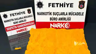 Muğla'da narkotik operasyonları: 310 şüpheli yakalandı, 48 kişi cezaevine gönderildi