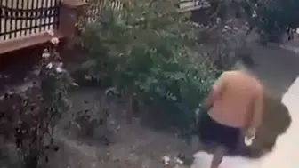 İzmir'de köpeğini gezdiren şahıstan yavrulu kediye vahşi saldırı