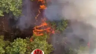 Antalya Aksu'da ormanlık alanda alevlerle yoğun mücadele