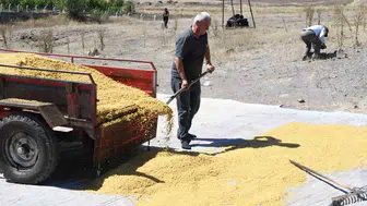 Yozgatlı çiftin 41 yıllık emeği: Odun ateşinde geleneksel bulgur üretimi
