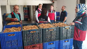 Aydın'da incir sezonunda mikotoksin alarmı: 17 ilçede sıkı denetim dönemi