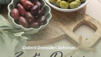 Didim'de Zeytin Üreticisine Yeni Pazar Alanı: Aracısız Satış Dönemi Başlıyor