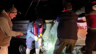 Beyler Barajı'nda kaçak avcılık operasyonu: 2 bin 500 metrelik ağdan 225 balık kurtarıldı