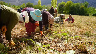 Erzincan tarımında 170 milyon liralık dev hibe hamlesi
