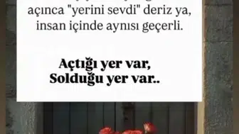 Hatay'da kadın cinayeti: Emine Çil'in son paylaşımları yürek burktu