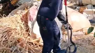 Antakya'da müstakil evin bahçesinde dev yılan paniği