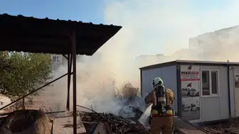 Kırıkhan'da korkutan yangın: Odunluk ve bahçedeki alevler büyümeden söndürüldü