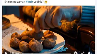 Aydın inciri ulusal ekranlarda: Başkan Çerçioğlu'ndan dev tanıtım hamlesi