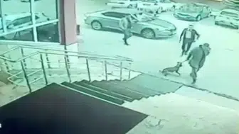 Palandöken Kaymakamı ve koruması hakkında soruşturma: Köpeğe tekme ve silah çekme iddiası