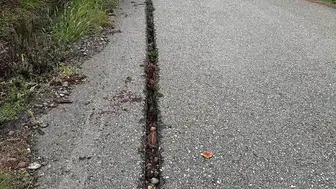 Alaplı'da fiber altyapı mağduriyeti: Kazılan yollar kaderine terk edildi