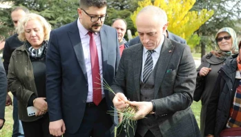 Eskişehir Safran Üretiminde Birincilik Yolunda