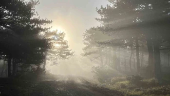 Bozdağ’da Sabah Sisi Kartpostallık Görüntüler Oluşturdu