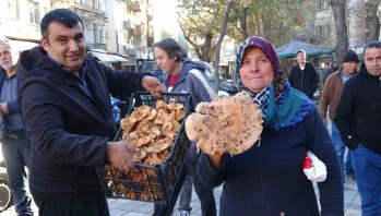 Melki adıyla bilinen kanlıca mantarının fiyatı düştü