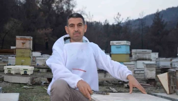 Hobi Olarak Başladı, Türkiye’nin Ana Arı Tedarikçilerinden Biri Oldu