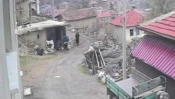 Köyde eşine saldıran şahıs tutuklandı