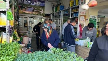 Fide bakımında doğru gübre kullanımı ve dikkat edilmesi gerekenler