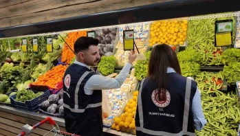 Eskişehir'de Denetimlerde 729 Bin TL Ceza Kesildi