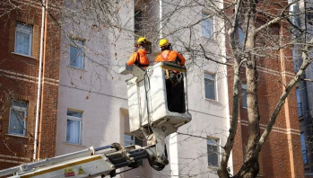 Eskişehir’de Ağaçlar Kışa Hazırlanıyor: Budama Çalışmaları Başladı