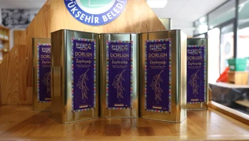 Yeni Hasat Dorlion Zeytinyağları Raflardaki Yerini Aldı