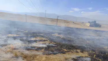 Muş'ta anız yangınları bağ evlerini tehdit etti: Çok sayıda ağaç kül oldu