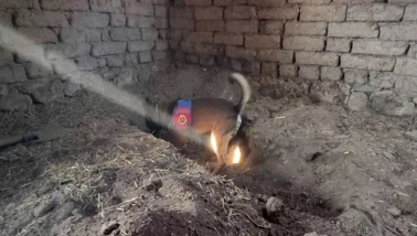 Kayıp Dosyasında Flaş Gelişme: Cansız Beden Evin Altında Bulundu!