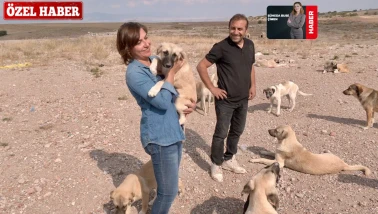 Sahada 2 ve arka planda binlerce kişiyle sokaktaki canlara hayat veriyorlar