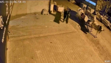 At arabalı hırsızlar aynı gün içinde yakalandı