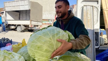 Pazar tezgahlarında devasa lahanalar ilgi odağı oldu
