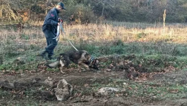 Mantar Toplamaya Çıkan Adam Bilecik’te Kayboldu, 96 Kişilik Ekip Arıyor
