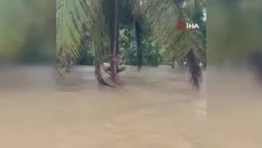 Güney Asya’da muson felaketi: Endonezya’da ağaçlara tutunarak kurtarılmayı bekleyen afetzedeler kamerada