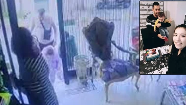 Böcek Ailesi Cinayetinde Adli Tıp’tan Bilgi Notu: Fosfin Gazı Tespit Edildi