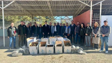 Pazaryeri’nde 42 Bin ’Albion’ Çilek Fidesi Üreticilere Dağıtıldı