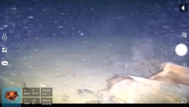 Marmara Denizi’nin dibindeki 50 yıllık sır gün yüzüne çıkıyor