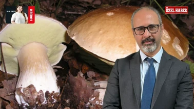 Uzmandan Kritik Uyarı: “Doğada Toplanan Her Mantar Risk!”