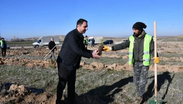 Beylikova Belediyesi’nden Doğaya Büyük Katkı: Bin Karaçam Fidanı Dikildi