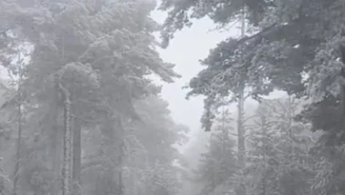Eskişehir’e Mevsimin İlk Karı Düştü: Mihalıççık Beyaza Büründü