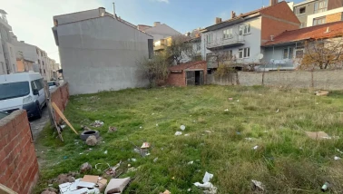 Eskişehir’de Boş Arsada Vahşet! 8 Kedi Katledildi