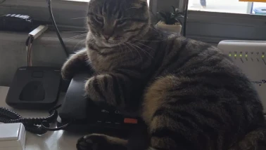 Eskişehir’de Hayvansever Taksi Durağı Örnek Oluyor