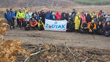 Seyitgazi’de Orman Yangını Sonrası 450 Fidan Dikimi Yapıldı