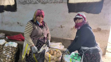 Şuhut’ta Patates Hasadı Sona Erdi, Fiyatlar Üreticiyi Memnun Etti