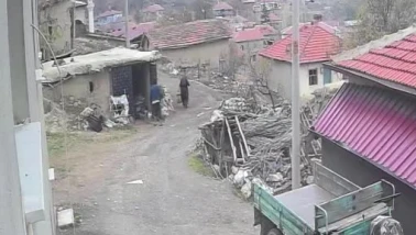 Köyde eşine saldıran şahıs tutuklandı