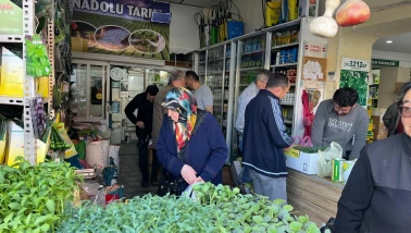 Fide bakımında doğru gübre kullanımı ve dikkat edilmesi gerekenler