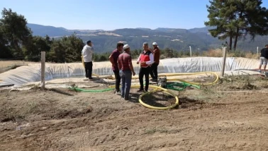 Bilecik’te Yangının Tarıma Faturası Ağır