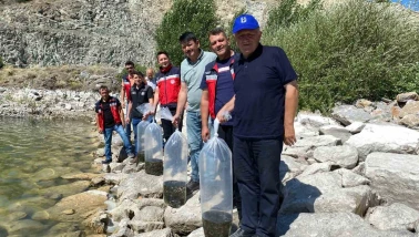 Tavşanlı’da 8 gölete binlerce yavru sazan bırakıldı